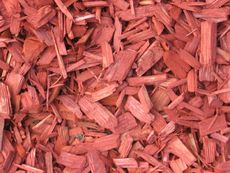 roter Mulch2.jpg